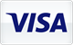 Visa card payment accepted at DudeSpin Casino